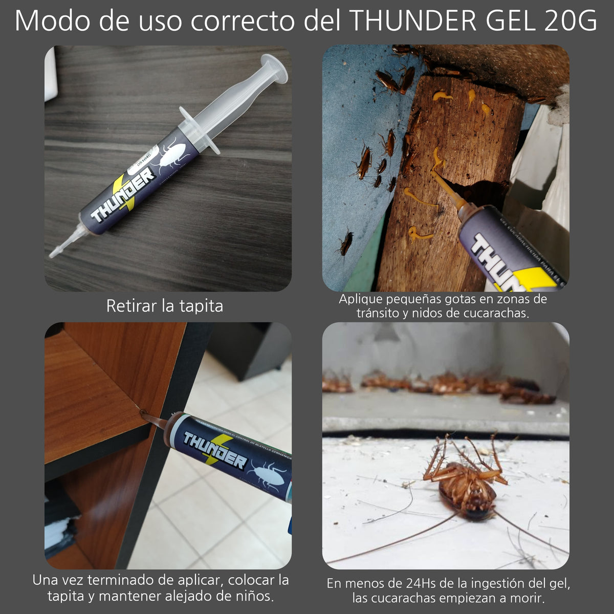 ⚡ THUNDER GEL® – El Gel Que Extermina CUCARACHAS🪳